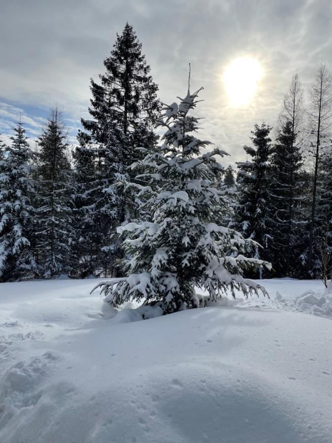 Chata Veverička Oravská Lesná Oravska Lesna Exterior foto