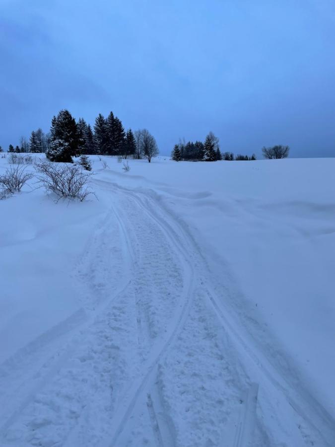 Chata Veverička Oravská Lesná Oravska Lesna Exterior foto